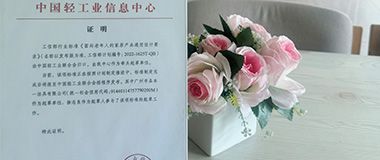 Aicube Care participa en la redacción del estándar de la industria para "Requisitos generales de diseño para productos para el hogar para ancianos"